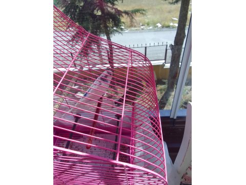 Bir Çift Muhabbet Kuşumuz