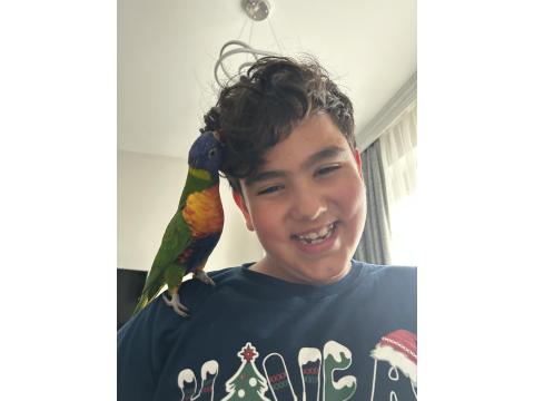 Rengarenk Lori Papağanı