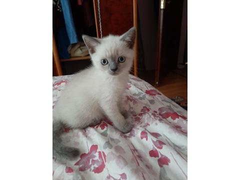 Yeni Yuvamiza Gitmeye Hazırız