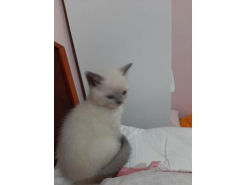 Yeni Yuvamiza Gitmeye Hazırız