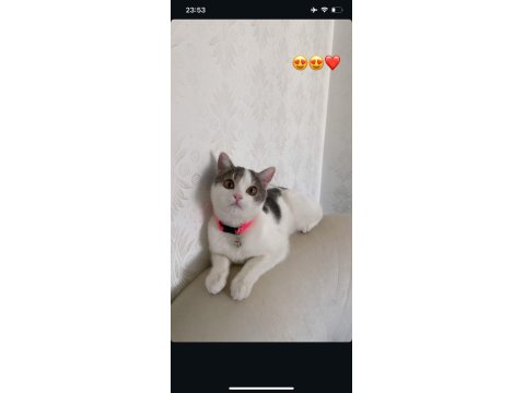 1 Yaşında Peri Kızım