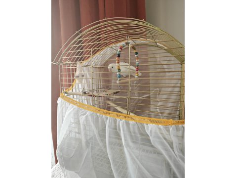 Acil Satılık Albino Cennet Papağanı