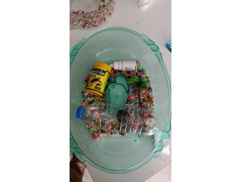 Su Kaplumbağaları Ve Tüm Malzemeleri Ayağınıza Geldi