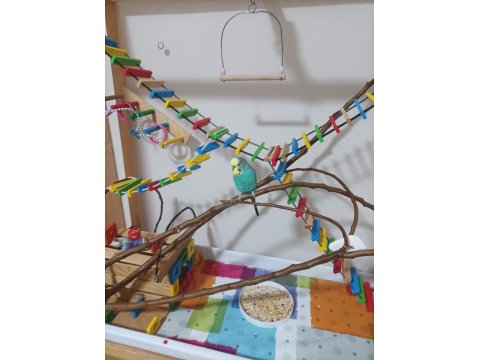 El Yapımı Geniş Ahşap Oyun Kafesi