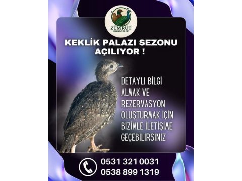 Kınalı Keklik Palaz Rezervasyonları Başlamıştır