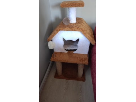 Tamamen Ücretsiz Kedi Evi İle Beraber