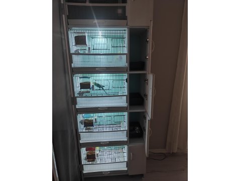 Kuşlar Ve Üretim Kafesi Hepsi Birlikte Verilecektir