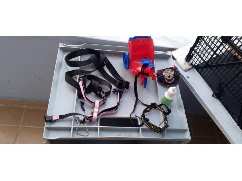 On Aylık Erkek Evcil Tavşan Kafesi Tüm Malzemeleri Vardır. Çift Katlı Kafes 3 Parça