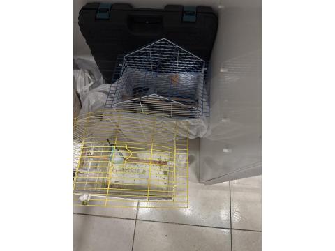 Yavrulu Yumurtalı Bakıcı Muhabbet Kuşu Takımlar