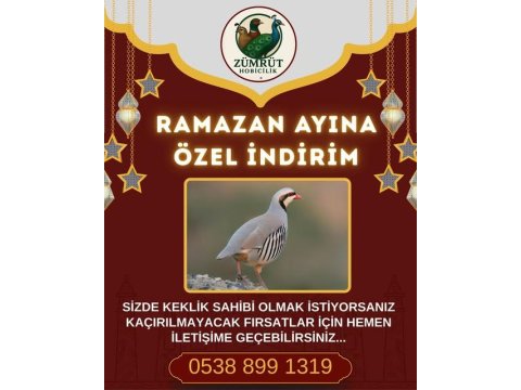 Kınalı Keklikte Fırsatları Kaçırmayın