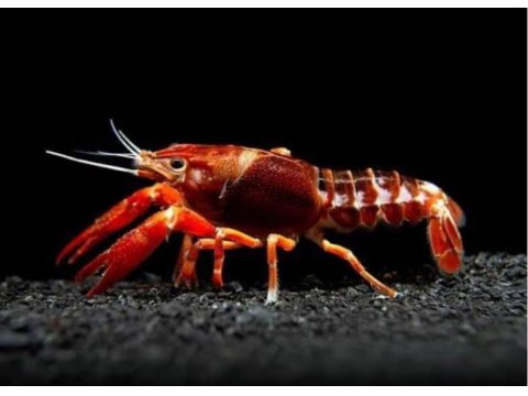 A Kalite Kerevit İstanbul