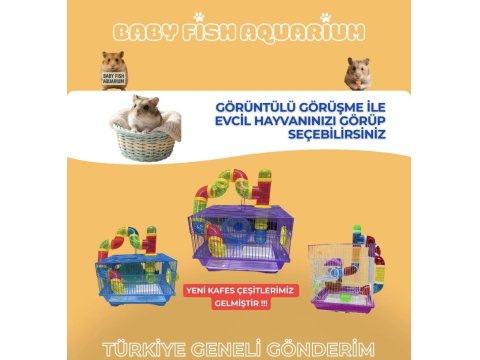 Antalya Adrese Teslim Hamster İsteyen