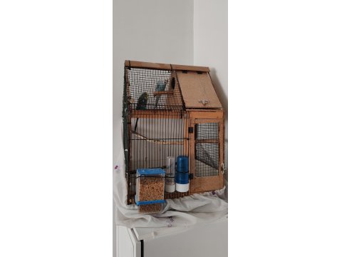 Kafes İle Birlikte Muhabbet Kuşlar