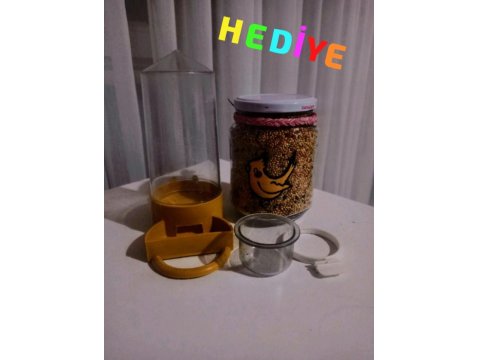 Ultra Evcillik Sultan Papağanı (Omza Gelir)