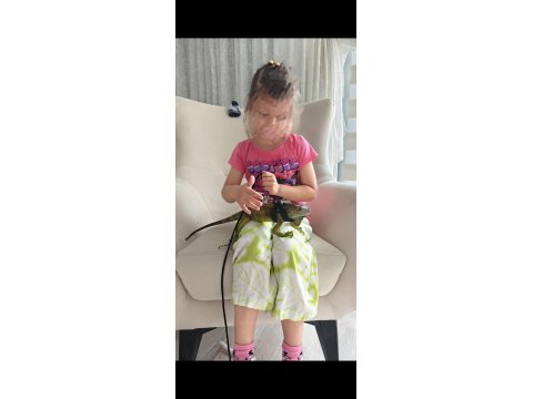 Çipli Evraklı İguana