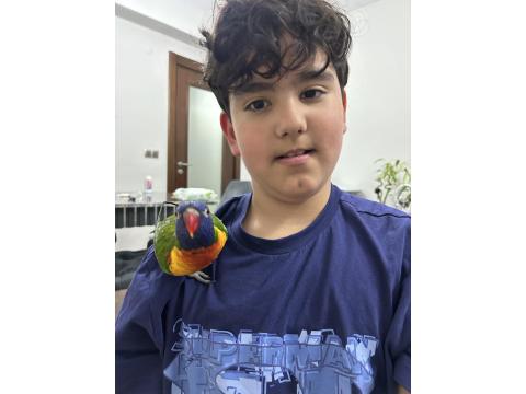 Rengarenk Lori Papağanı