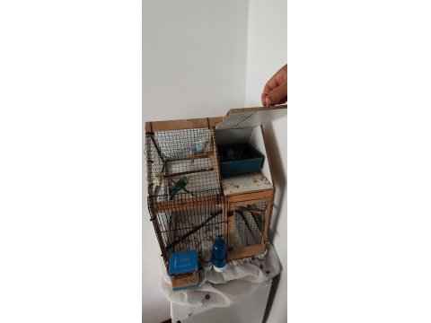 Kafes İle Birlikte Muhabbet Kuşlar