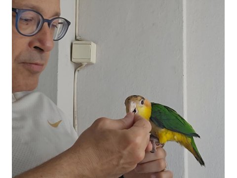 7 Aylık Bebek Caique