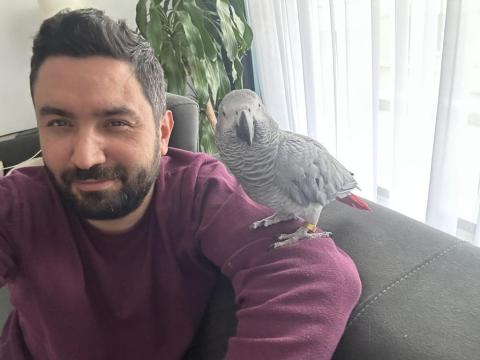 11 Aylık Eşsiz Güzellikte Ve Kalitede Jako Papağanı