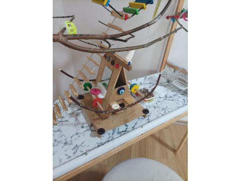 Sultan Papağanı Ve El Yapımı Oyun Kafesi