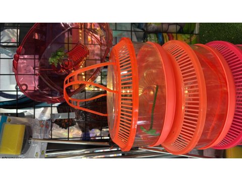 Kırmızı Yanak Singapur Kaplumbağası