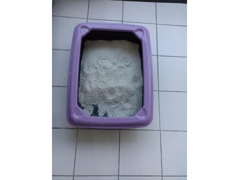 Erkek Oyuncu Kedimiz