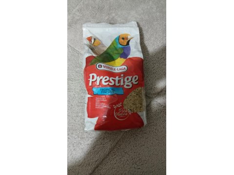 Yavru Alınmış Gökkuşağı İspinozları