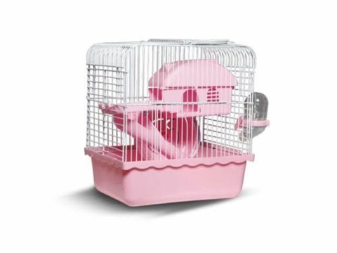 Yavru Hamster Ve Kafes Takımları