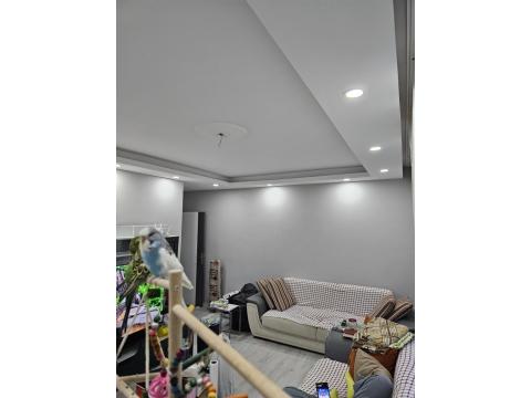 1.5 Aylık Muhabbet Kuşumu Sahiplendiriyorum