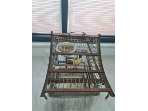 El Yapımı Ahşap Kafes + Çift Kanarya