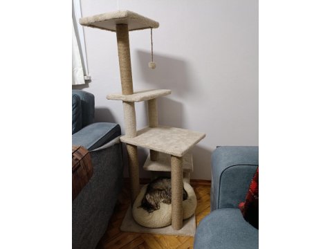 Nazlı Kızımız Kedimize Yuva