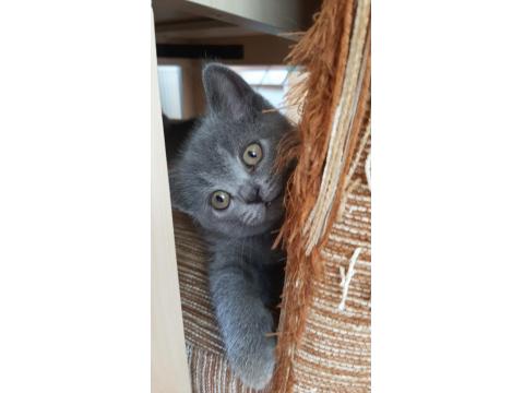 Yeni Yuvamiza Gitmeye Hazırız