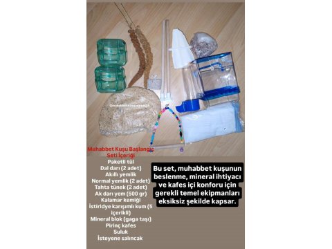 Tüm İstanbul İlçelerine Adrese Teslim Muhabbet Kuşu