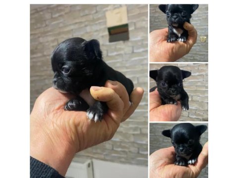 2.5 Aylık Çok Akıllı Benim Güzel Kızım