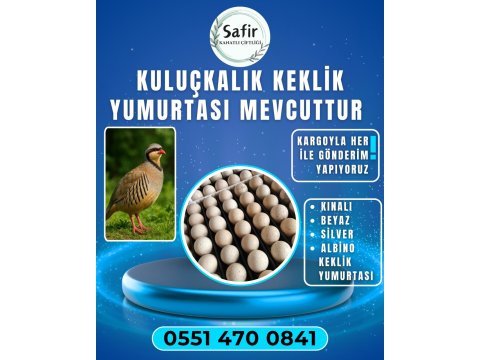 Kuluçkalık Keklik Yumurtası Vardır