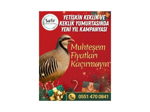 Yeni Yıl Kampanyası Keklikler