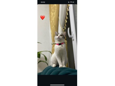 1 Yaşında Peri Kızım