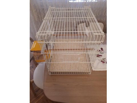 Üretime Hazır Muhabbet Kuşu Çifti Büyük Boy Kafes Seti